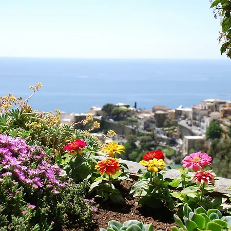 Apartment Casa Angelica Positano